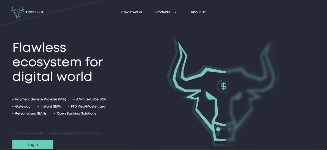 PSP – fintech payment solution